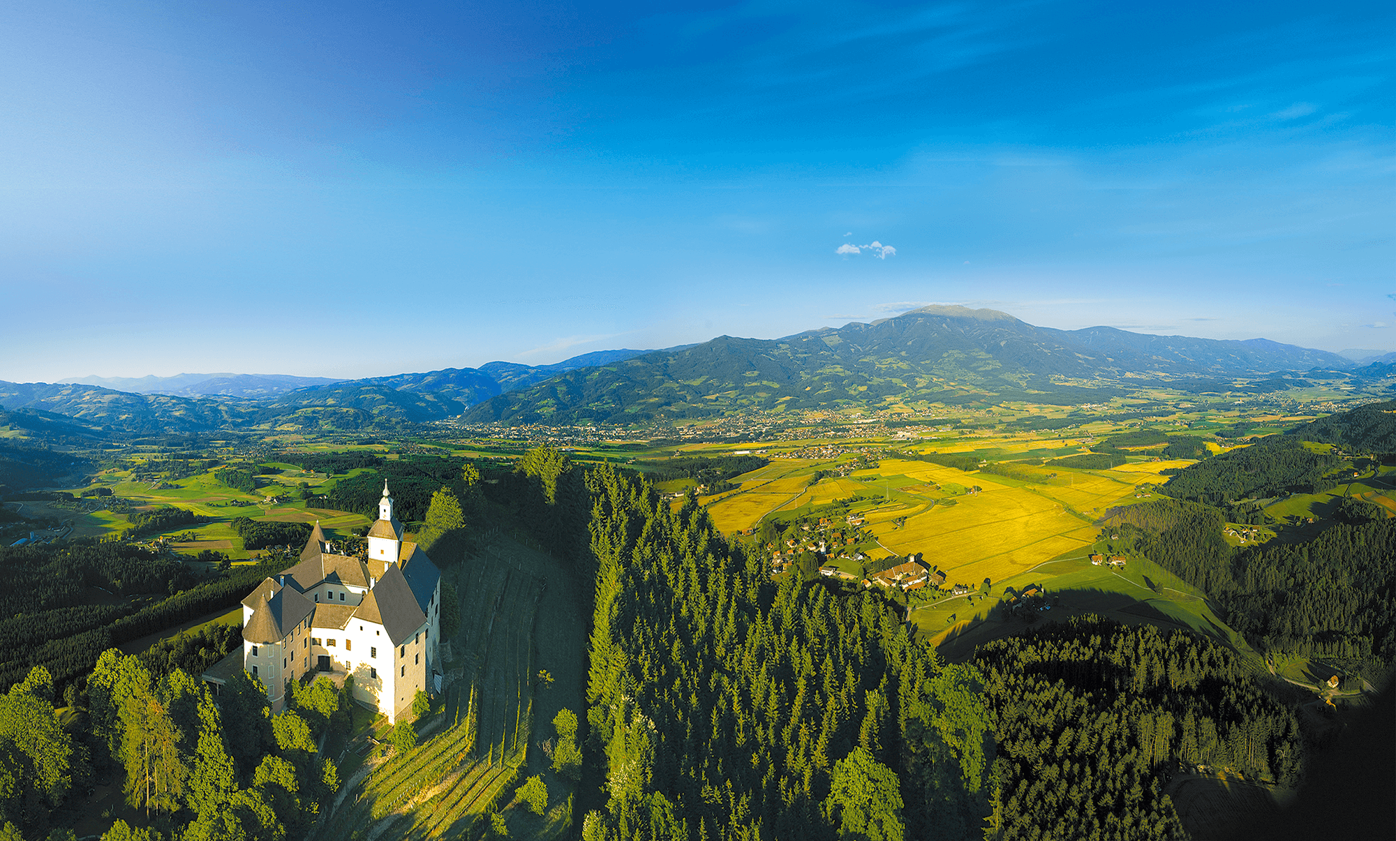 Schloss Weinanbau Wälder